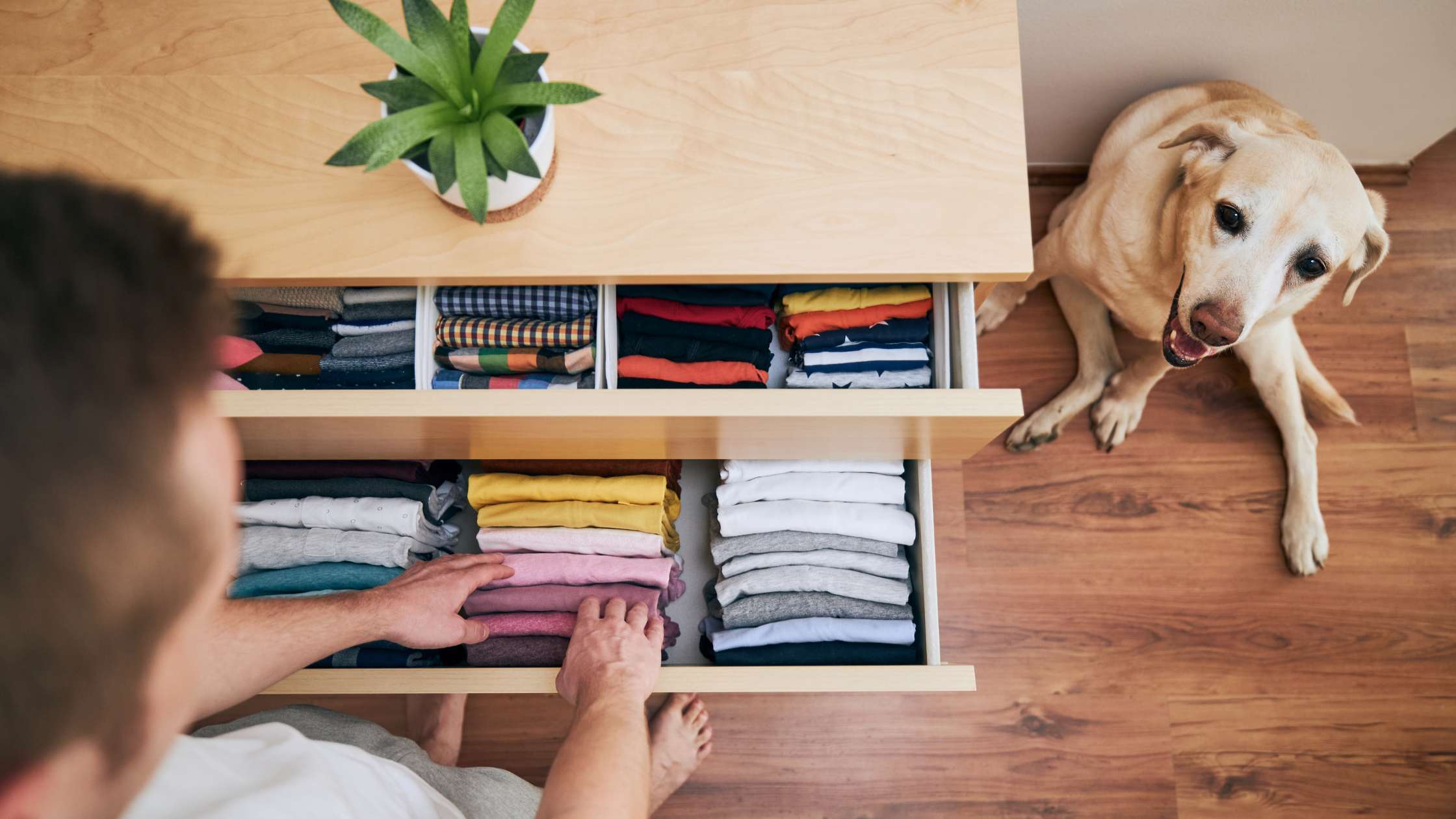 Effortless Living: How a Smart Home Organizer Can Transform Your Space in the UAE